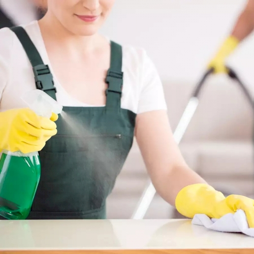 cleaning services